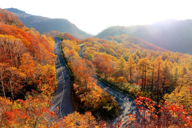 磐梯吾妻スカイライン　紅葉